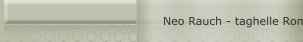 Neo Rauch - taghelle Romantik